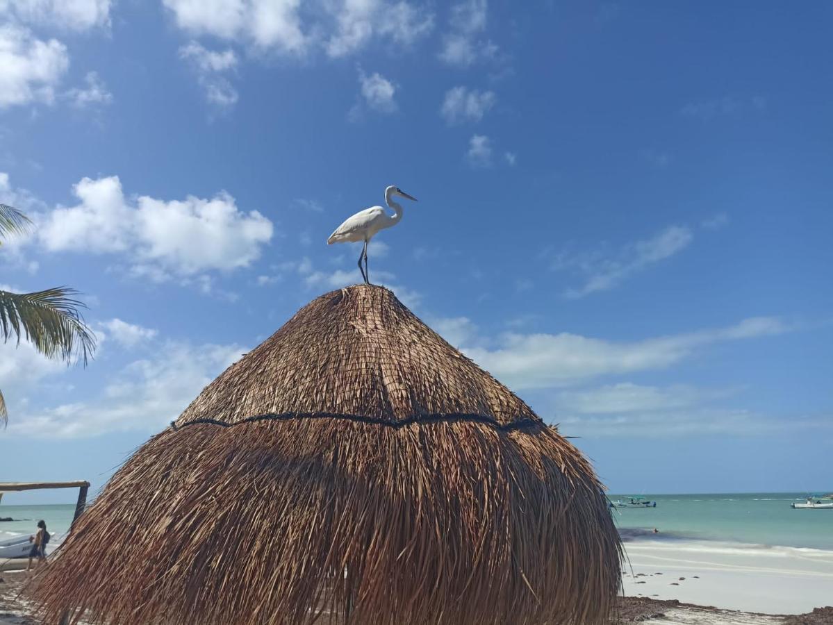 Hostel Utopia Isla Holbox ภายนอก รูปภาพ